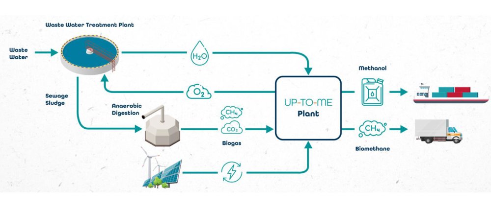 Renewable Energy and Sustainable Biofuel Production