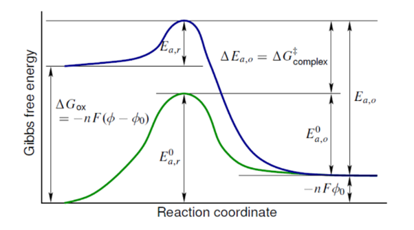 Electrochemistry Course Photo